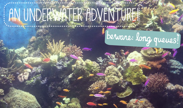 Excursion sur le terrain de Sassy Mama : aquarium SEA au Resorts World Sentosa