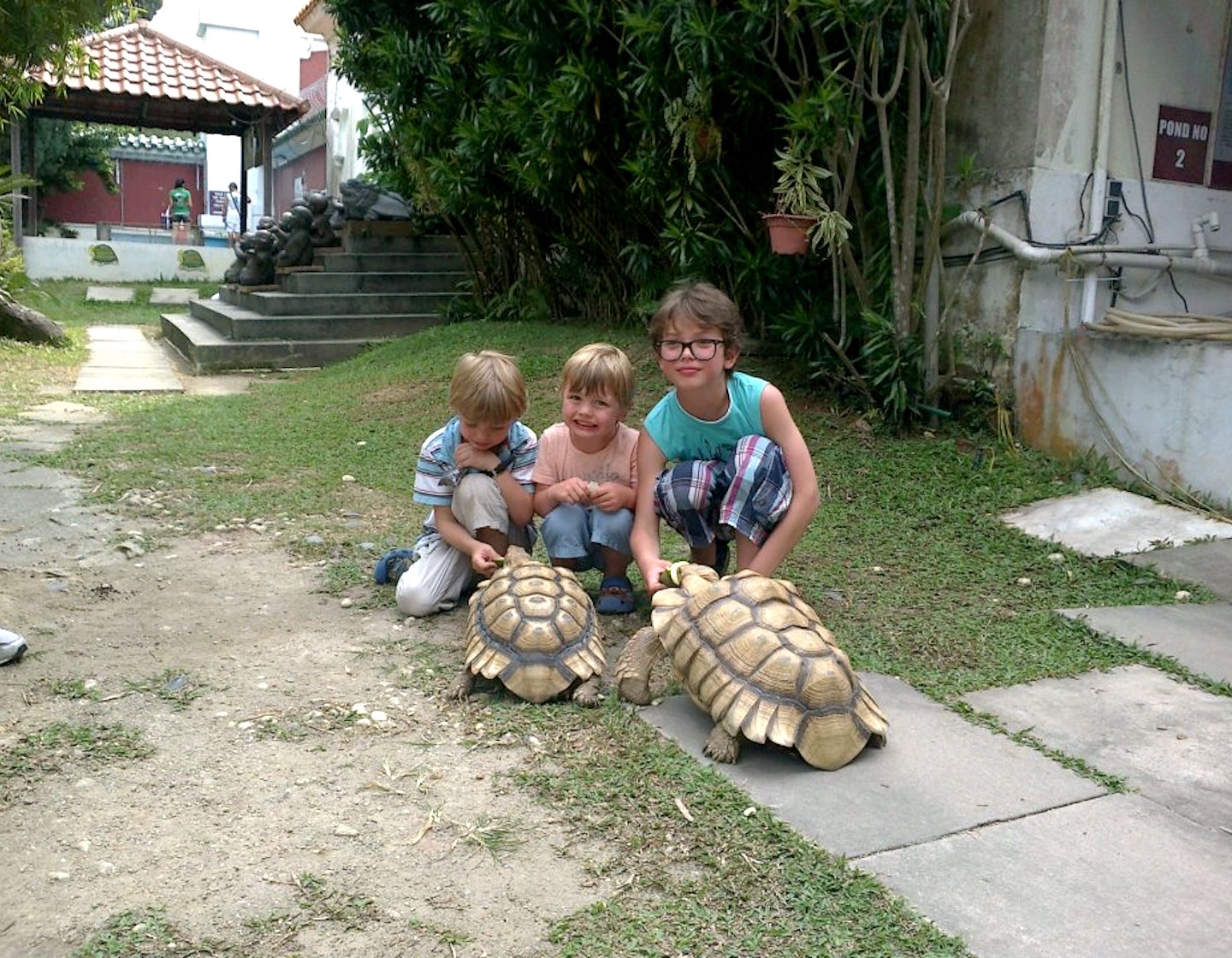 Excursion Sassy Mama : tortues et temples dans le jardin chinois