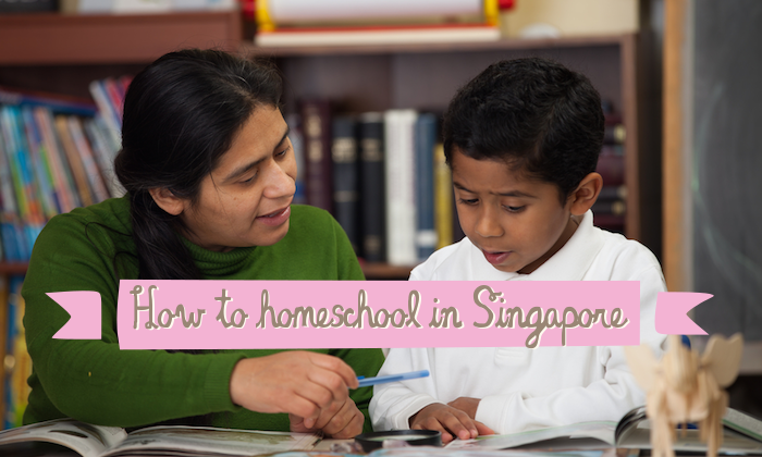 Tout sur l’enseignement à domicile à Singapour