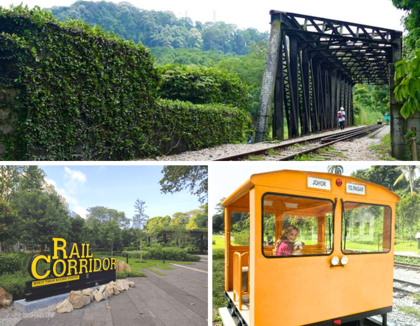 Explorez le corridor ferroviaire de Singapour : randonnée dans la nature, voies ferrées oubliées et Story Cafe de 1932, digne d'IG