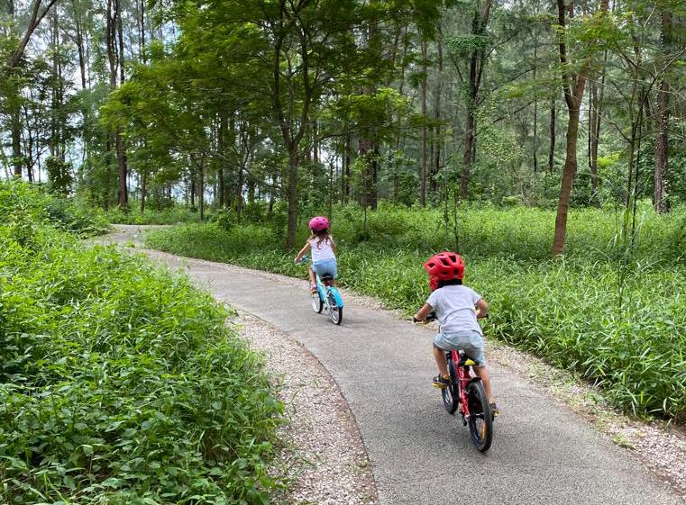 Guide de Coney Island Singapour : cyclisme, plages, randonnée et plus encore