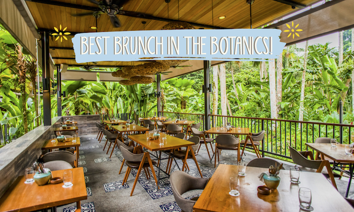 Un magnifique brunch au Halia des jardins botaniques de Singapour