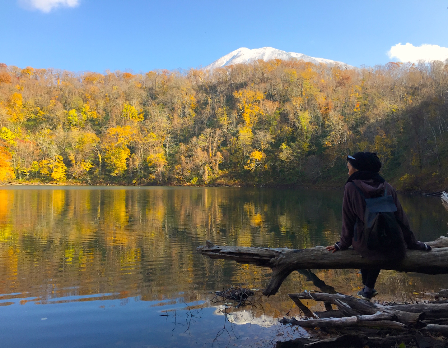 Un voyage à Hokkaido, au Japon : le paradis des gourmets