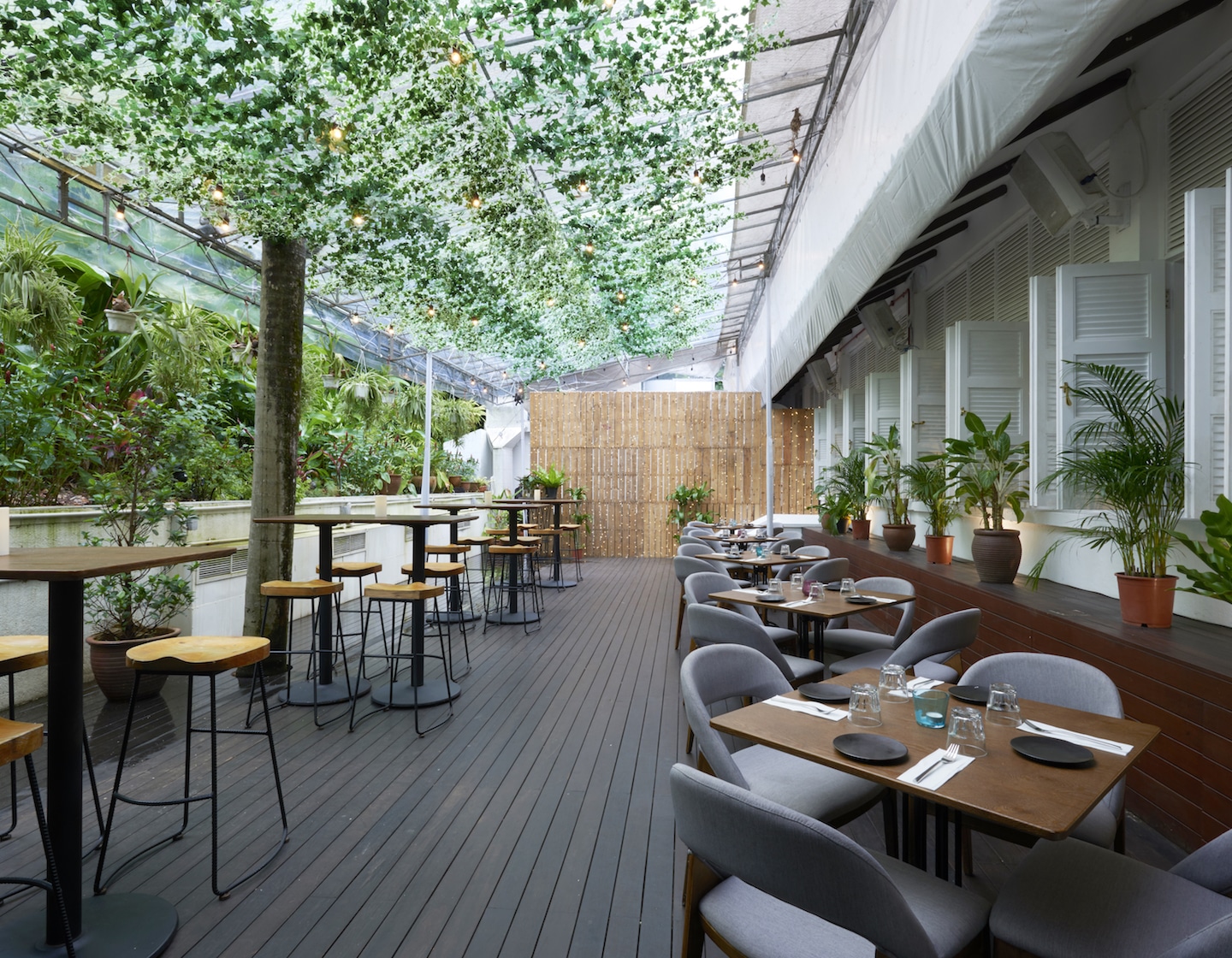 Dîner dans les jardins botaniques : comment les enfants peuvent obtenir un milkshake gratuit chez Bees Knees