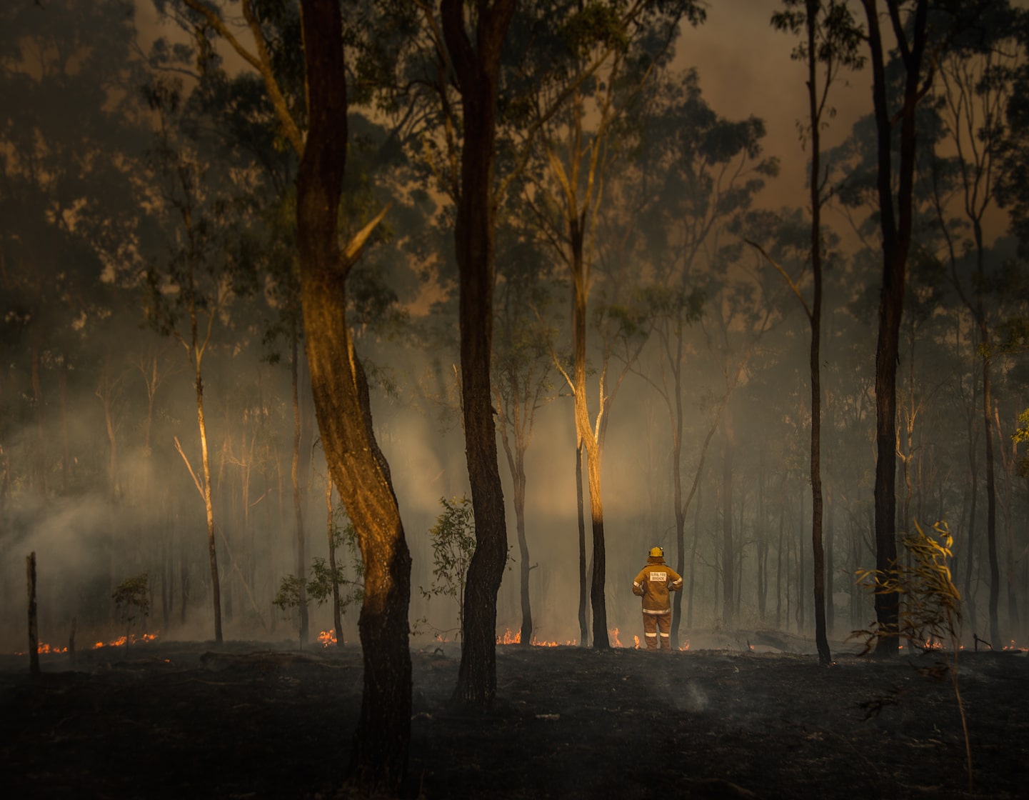 Comment faire un don aux victimes des feux de brousse en Australie et autres moyens d'aider depuis Singapour