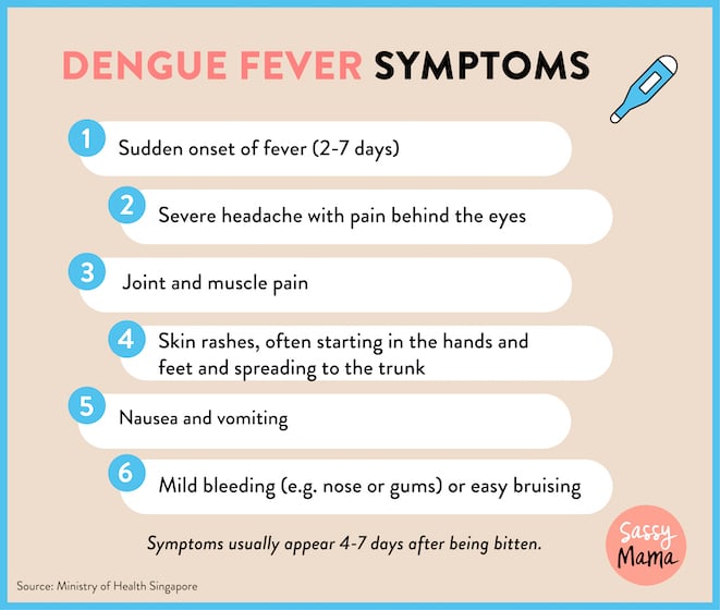 Risque élevé de poussée de dengue : comment vérifier si vous vivez dans un cluster de dengue