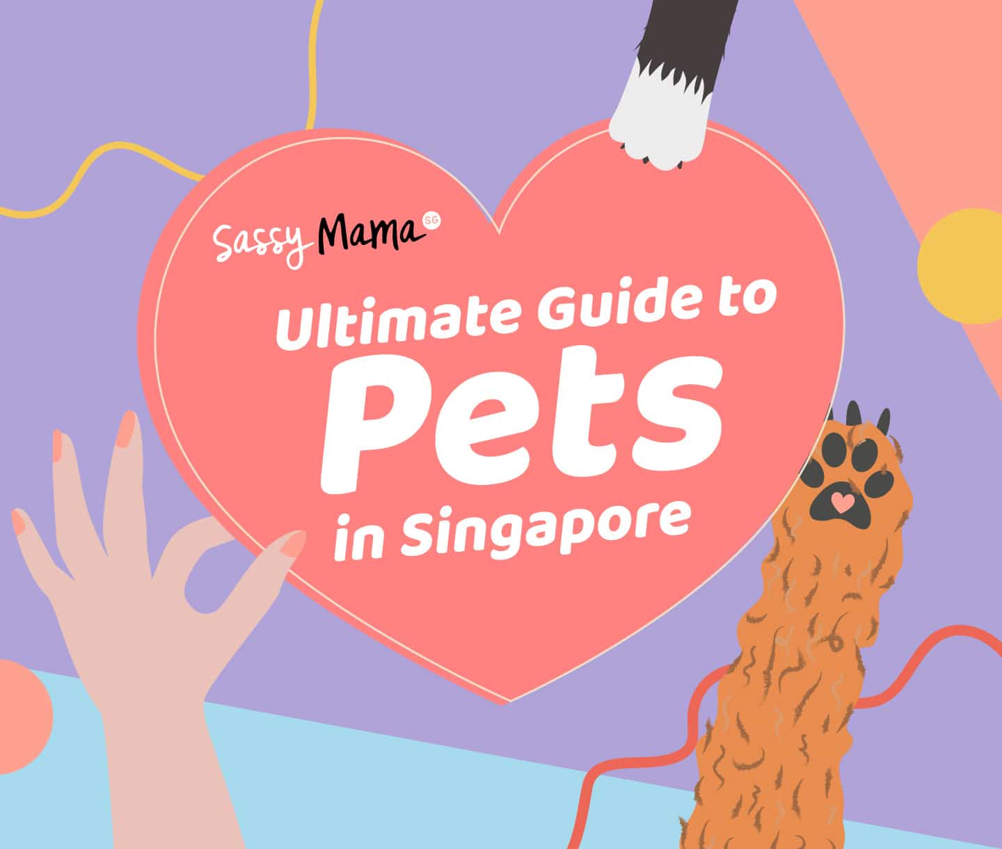 Guide ultime des animaux de compagnie à Singapour