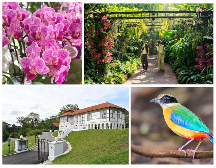 Guide adapté aux enfants des jardins botaniques de Singapour : que voir, faire et où manger