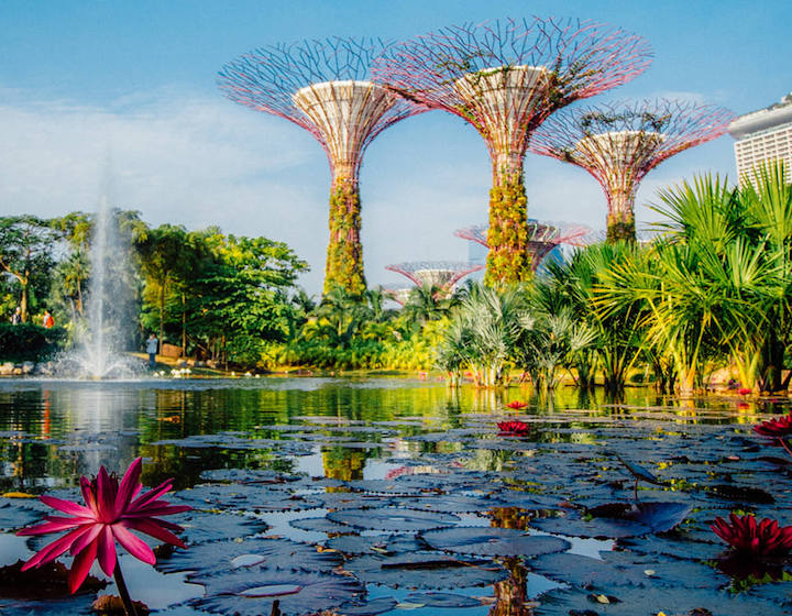 NOUVEAU! L'expérience de la forêt cachée à Cloud Forest + Guide adapté aux enfants des jardins de la baie