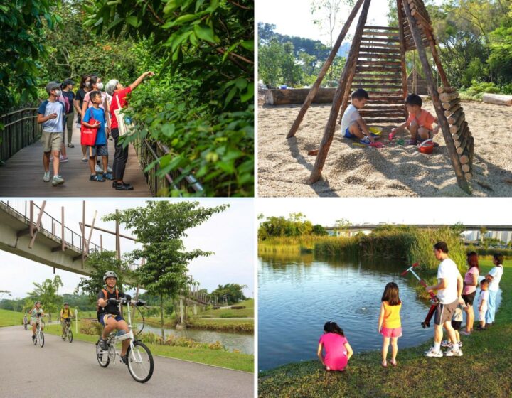 24 meilleurs parcs de Singapour pour les enfants : terrains de jeux, cerfs-volants, sentiers naturels et cadres d'escalade