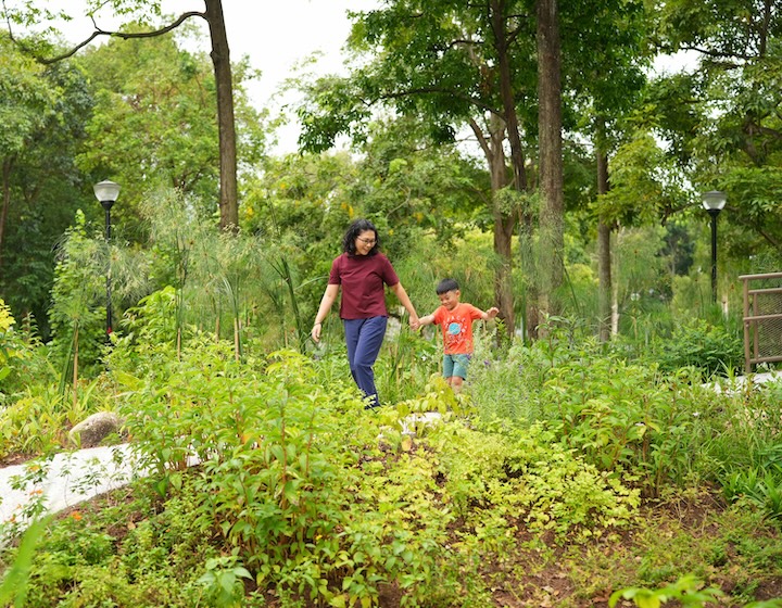 Les familles pourront être plus proches de la nature avec plus d'espaces verts au cours des 5 prochaines années