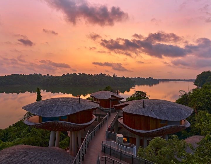 Mandai Rainforest Resort By Banyan Tree : complexe inspiré de la nature avec cabanes dans les arbres, expériences exclusives et plus encore