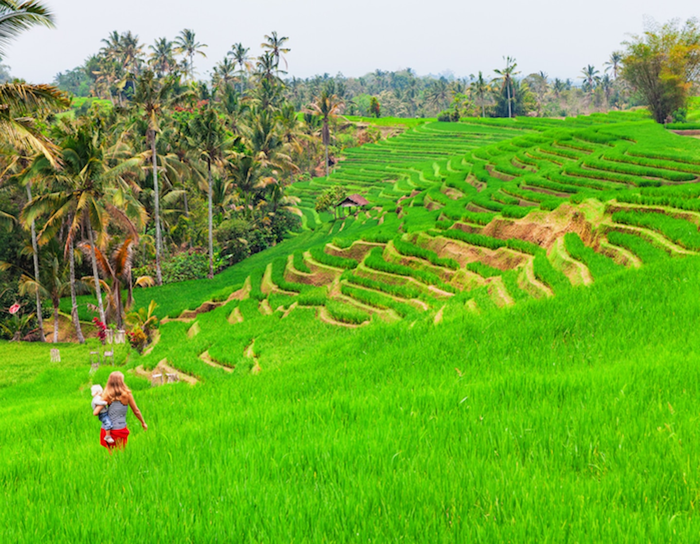 Série Escale : 72 heures à Ubud, Bali