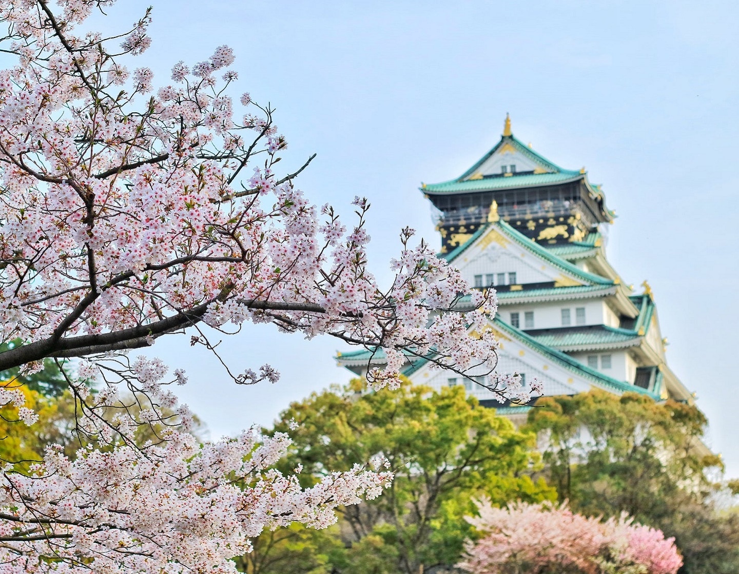 Votre guide familial à Osaka, au Japon