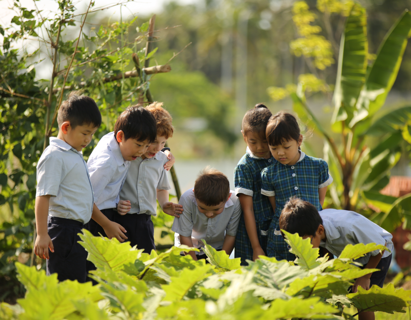 Internats britanniques : nous examinons de plus près le Marlborough College Malaysia