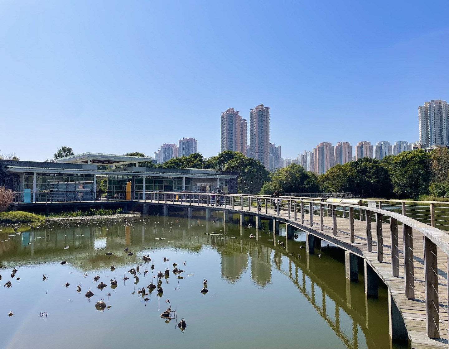 Parc des zones humides de Hong Kong : une excursion écologique d'une journée dans les zones humides de Hong Kong