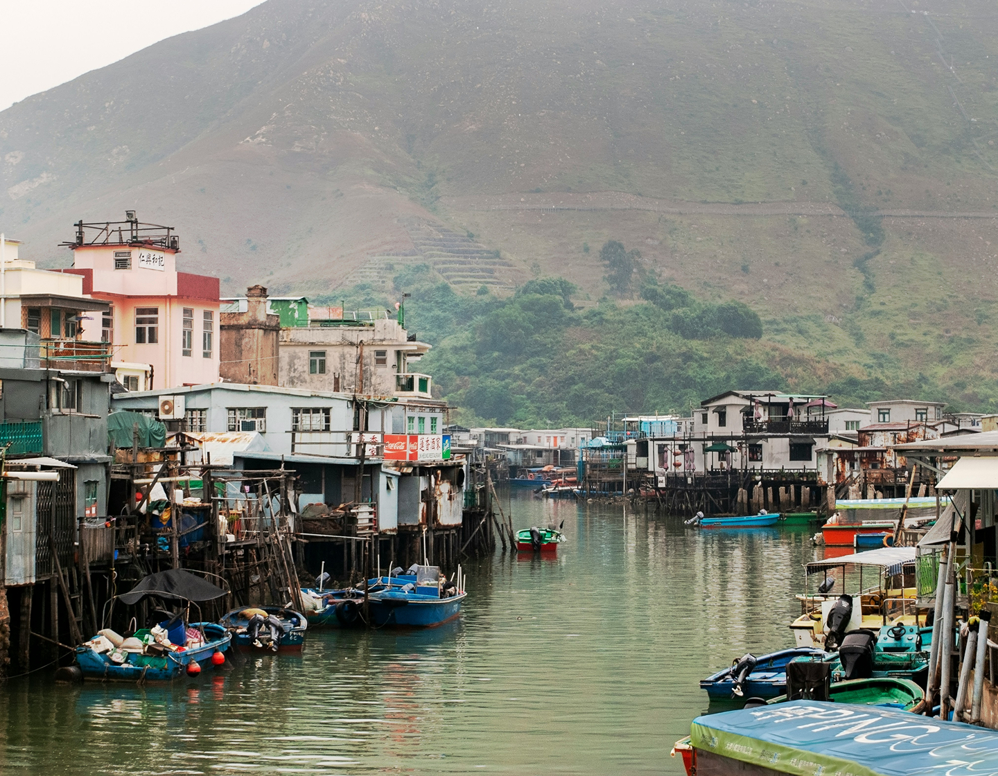 Village de pêcheurs de Tai O : restaurants familiaux, randonnées et plus