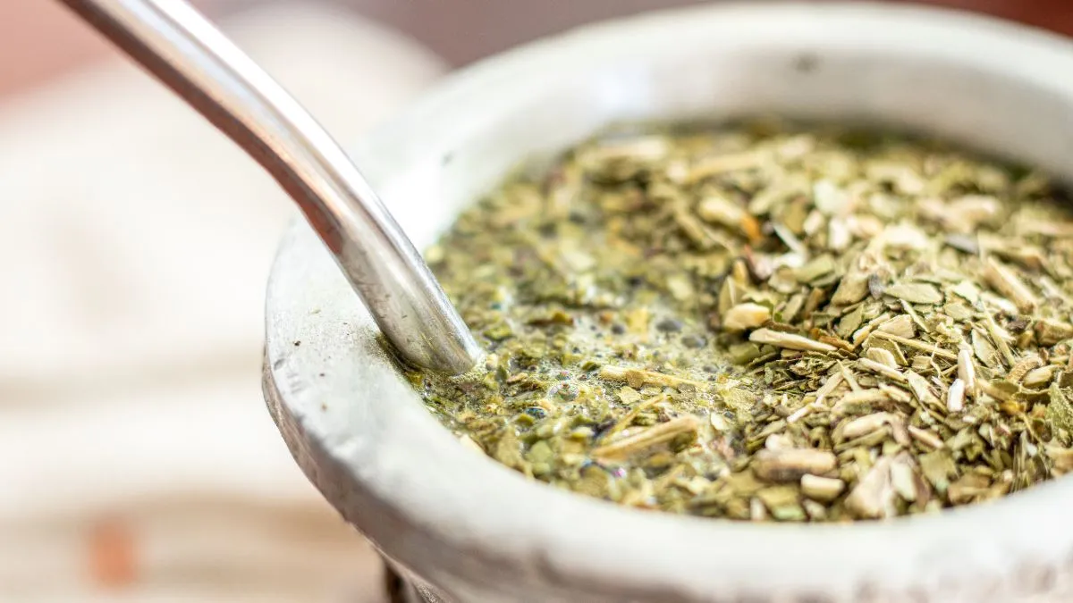 Perdez du poids avec le thé Yerba Mate et plus de bienfaits pour la santé de cette infusion ancienne