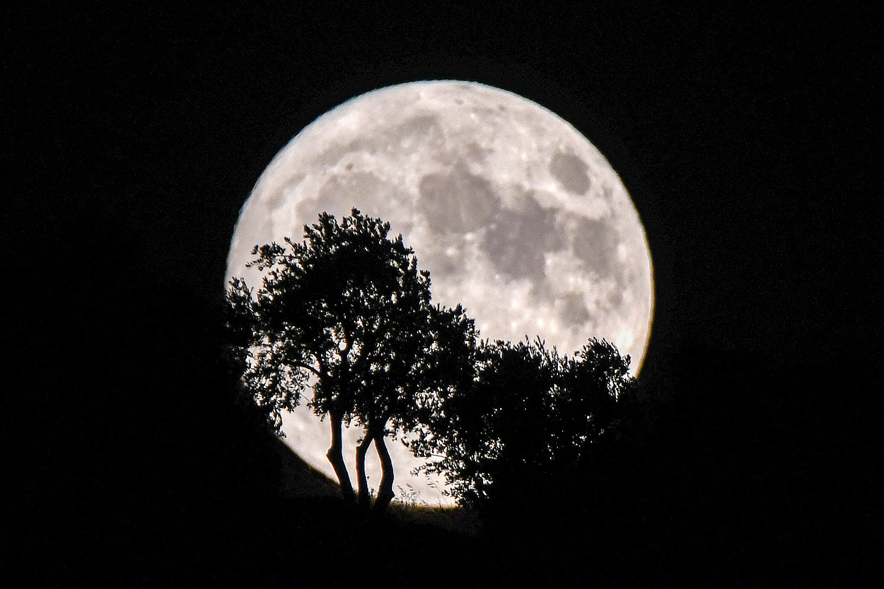 Pleine Lune en Cancer 2025 : comment le 13 janvier guidera vos émotions, votre sécurité et vos soins personnels