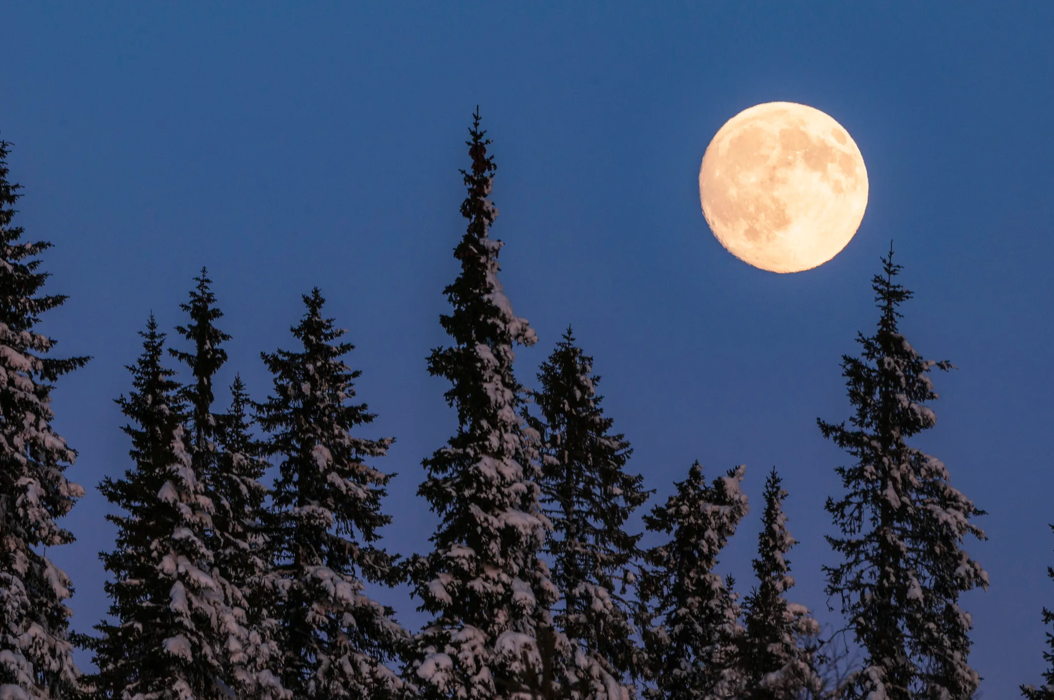 Full Moon in Leo 2025: Ce que le 12 février signifie pour l'amour, la chance et les changements de vie