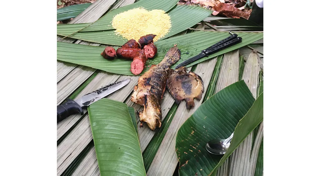 Une aventure de la forêt tropicale à la table en Amazonie