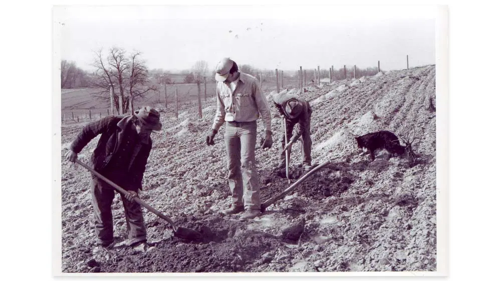 Domaines viticoles familiaux FIGGINS