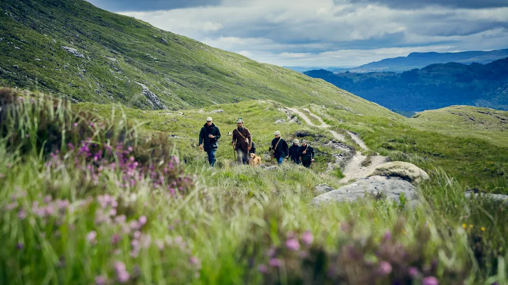 Highlands écossais