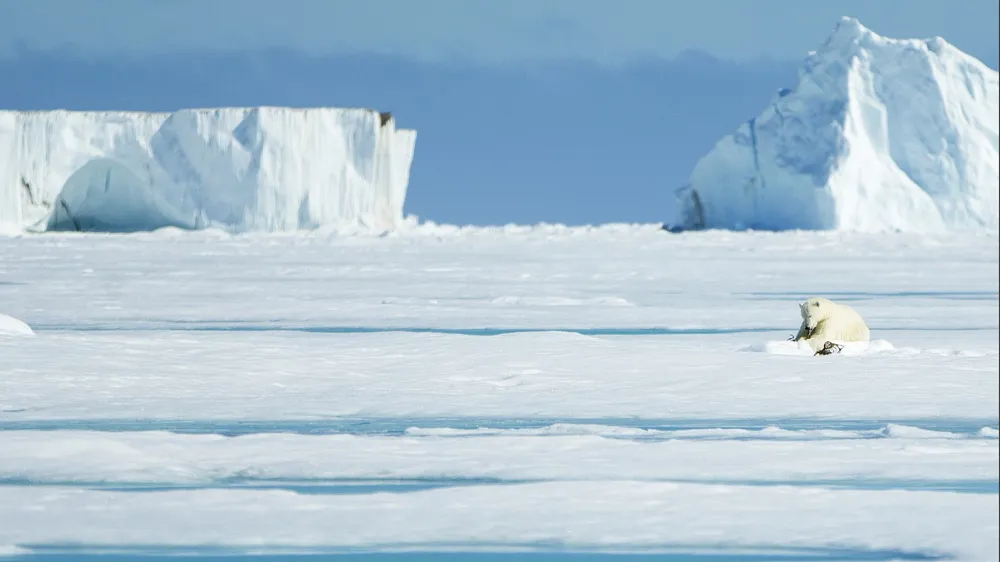 Expéditions Weber dans l'Arctique