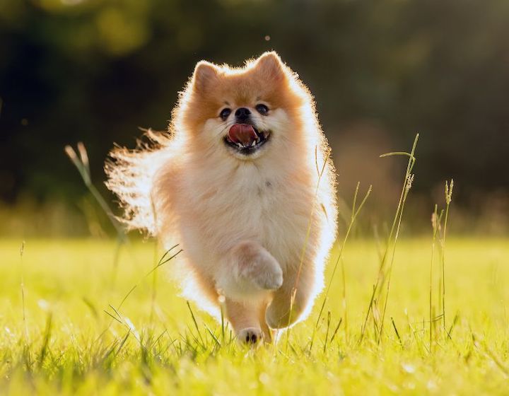 PRVÝ POHĽAD: Palawan @ Sentosa je teraz otvorený! - Équilibre Élégant